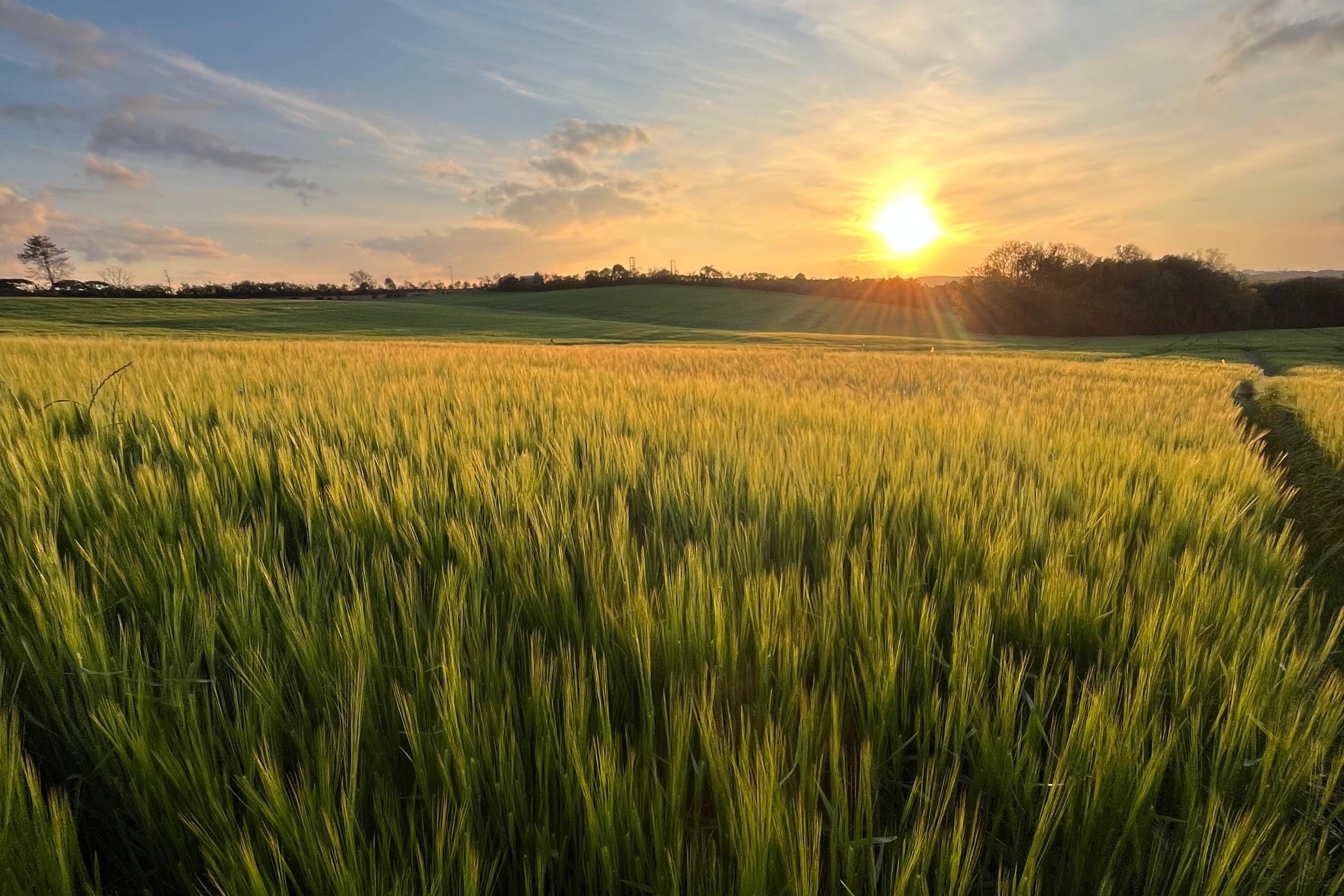 Bom Jesus se prepara para os Dias de Campo de Inverno em seus entrepostos